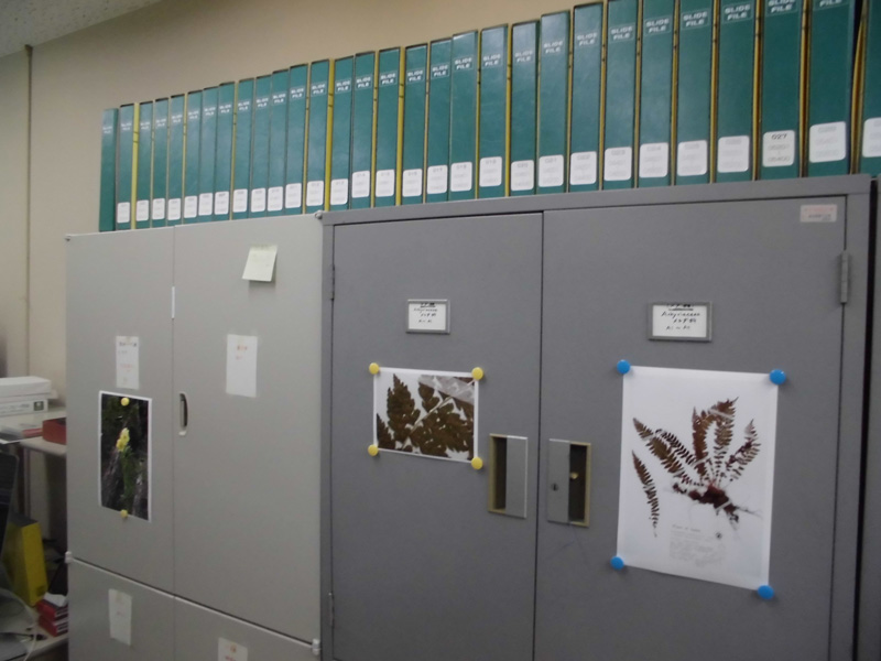 植物標本庫とオリジナル写真データ